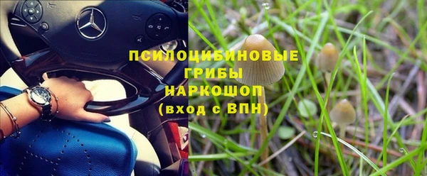 mdpv Беломорск