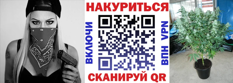 маркетплейс телеграм  Верея  Каннабис индика 